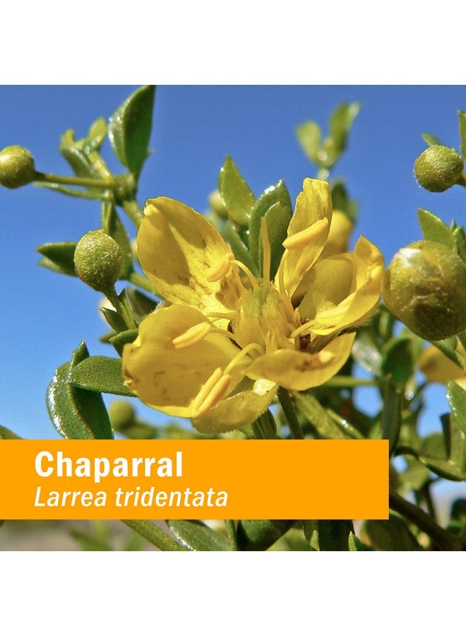 Herb Pharm Chaparral Liquid Extract, 1 Fl Oz - Image 2