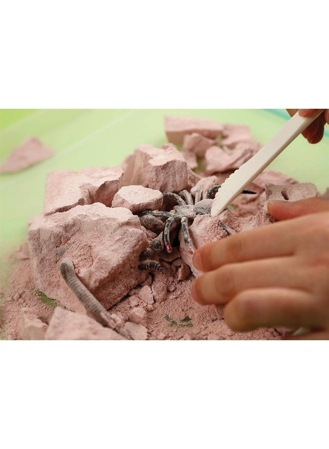 4M KidzLabs Creepy Crawlies Digging Kit – Excavate & Discover 5 Colorful Insect Replicas Hidden in Plaster | STEM Science Activity for Curious Kids Ages 5+ / 00-03397 - Image 4