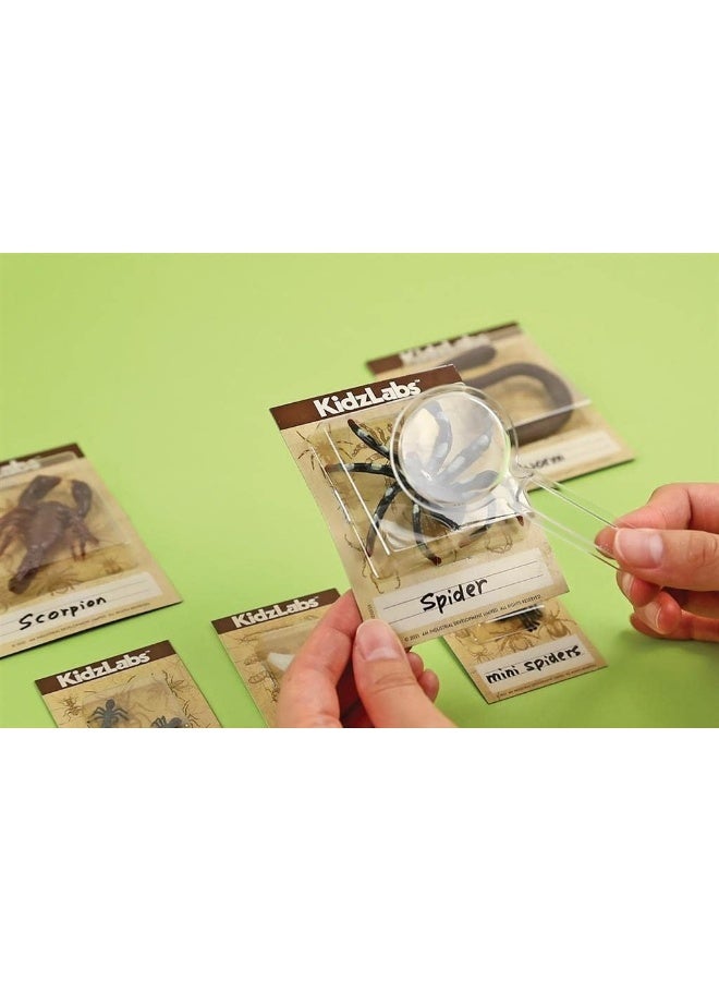 4M KidzLabs Creepy Crawlies Digging Kit – Excavate & Discover 5 Colorful Insect Replicas Hidden in Plaster | STEM Science Activity for Curious Kids Ages 5+ / 00-03397 - Image 5
