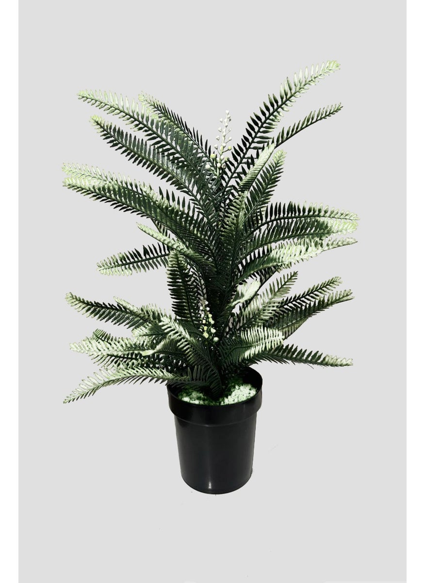 Artificial Flower 65 cm Dense Leaves White Fouger Plant in Black Pot - pzsku/Z41E5BE08AA7972AA4E1AZ/45/_/1728061665/5a1e6a89-5c68-4402-90d1-ecd844c7b2a4