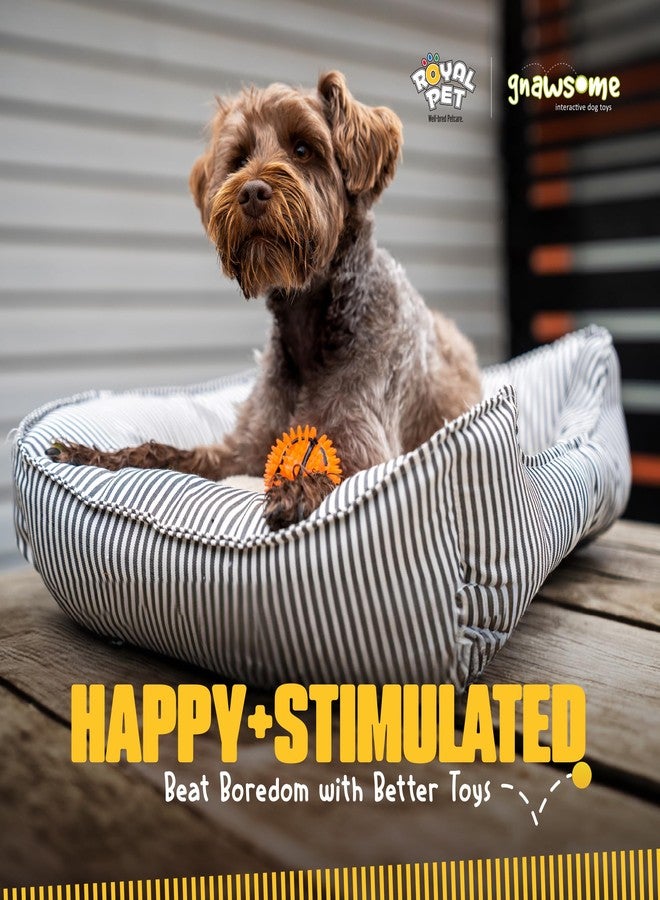 Gnawsome Dog Toys - 2.5-Inch Spiky Squeaker Basketball - Small - Dental & Gum Wellness - Stimulating Fun - Hidden Squeaker - Durable for Heavy Chewers - 100% BPA-Free - Assorted Colors - Image 5
