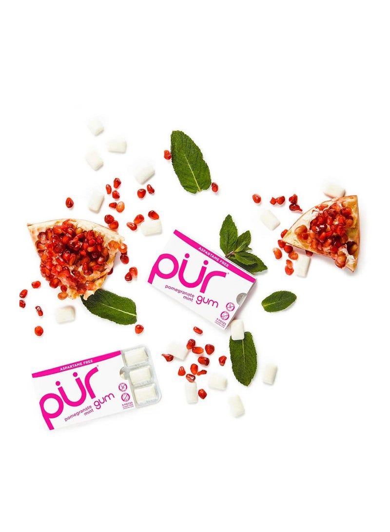 Pur Aspartame And Sugar Free Pomegranate Chewing Gum With Xylitol 9 Pieces - Image 5