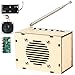 CYOEST Science Kits for Kids Age 812 1214 STEM Kits for Kids Age 810 STEM Toys Build Your Own FM Radio Kit DIY Electronic Snap Circuits Projects Gifts for Teen Girls Boys 9 11 13 15 16 Classic Wood - Image 3