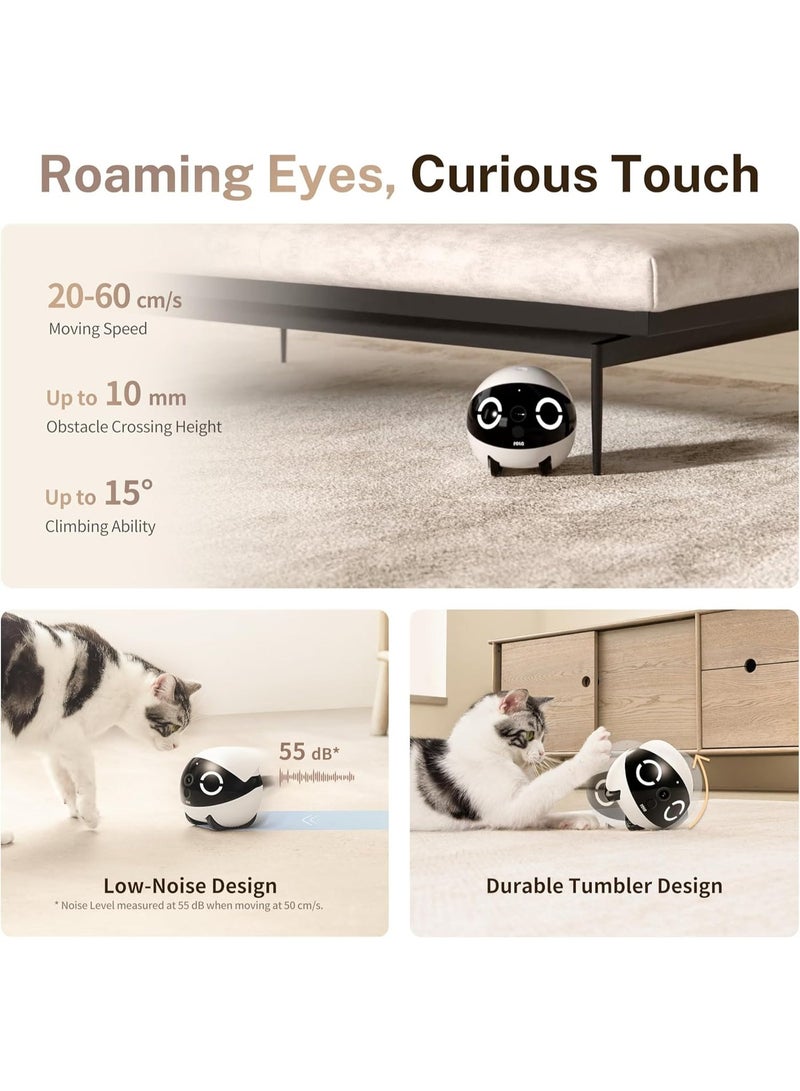 Enabot ROLA Mini Smart Pet Monitoring Robot with HD Camera, App Control, Two-Way Audio, Night Vision, Auto Patrol - Image 4