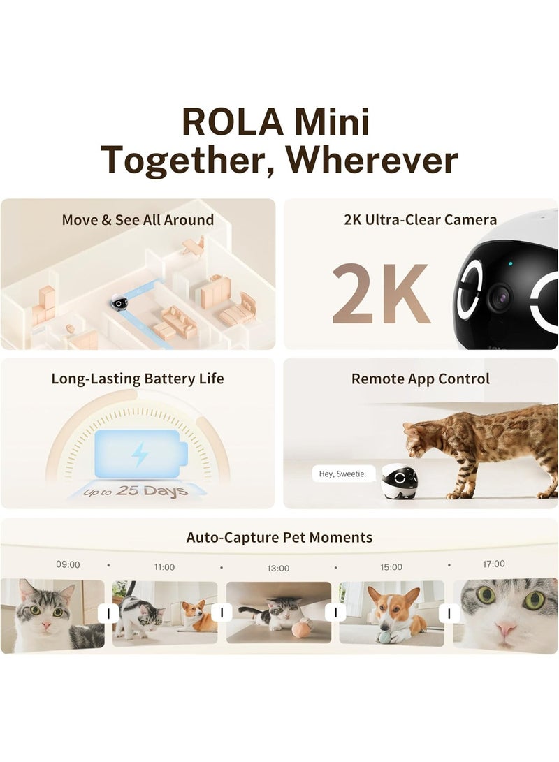 Enabot ROLA Mini Smart Pet Monitoring Robot with HD Camera, App Control, Two-Way Audio, Night Vision, Auto Patrol - Image 3