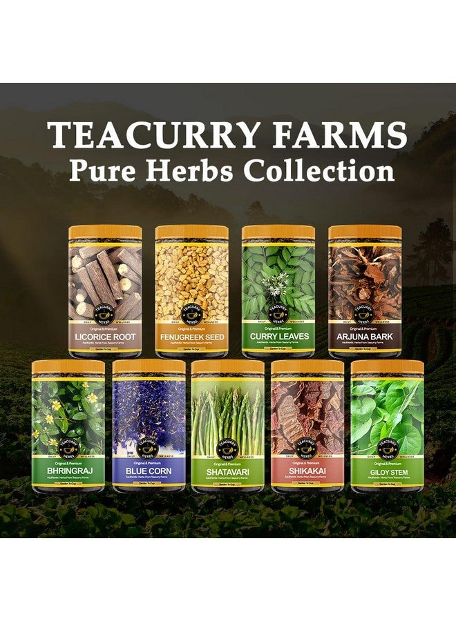 TEACURRY Gokshura (125 Gram Pack) - Helps to Boost Energy & Vitality, Supports Kidney Wellness Promotes Overall Well-Being - Chota Gokhru - Image 2