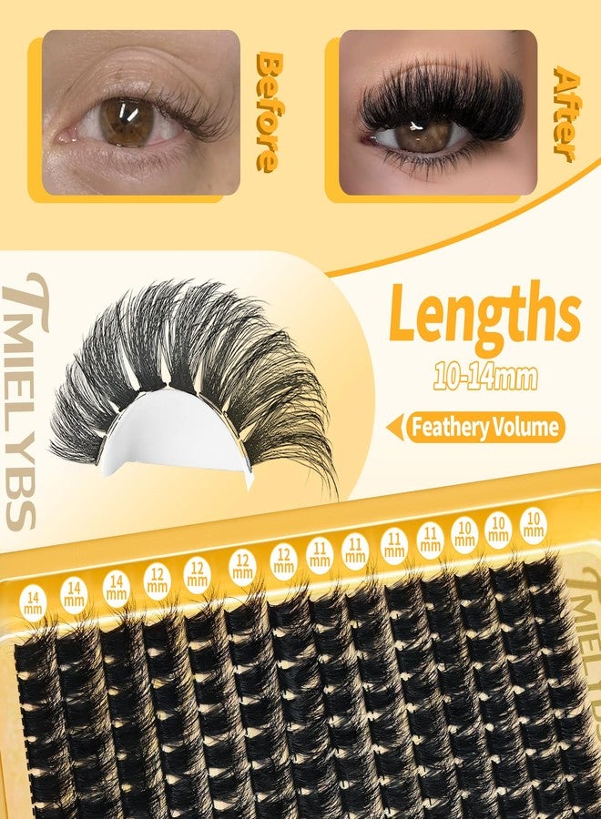 TMIELYBS Lash Clusters 10-14mm Short Cluster Eyelash Extensions 260D Thick Eyelash Clusters Volume D Curly Wispy Individual Lashes 224pcs Mink False Eyelashes Soft DIY Lash Extension for Beginners, by TMIELYBS - Image 2