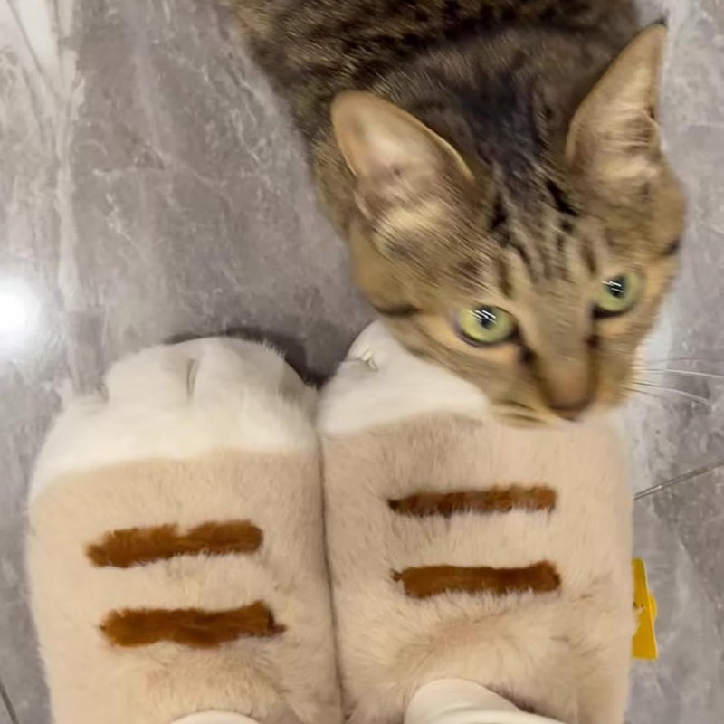 conrtems Plush cat paw slippers with non-slip soles, cozy and cute slippers (Khaki, Adult, Women, 7, Numeric Range, US Footwear Size System, 8, Medium) - Image 2