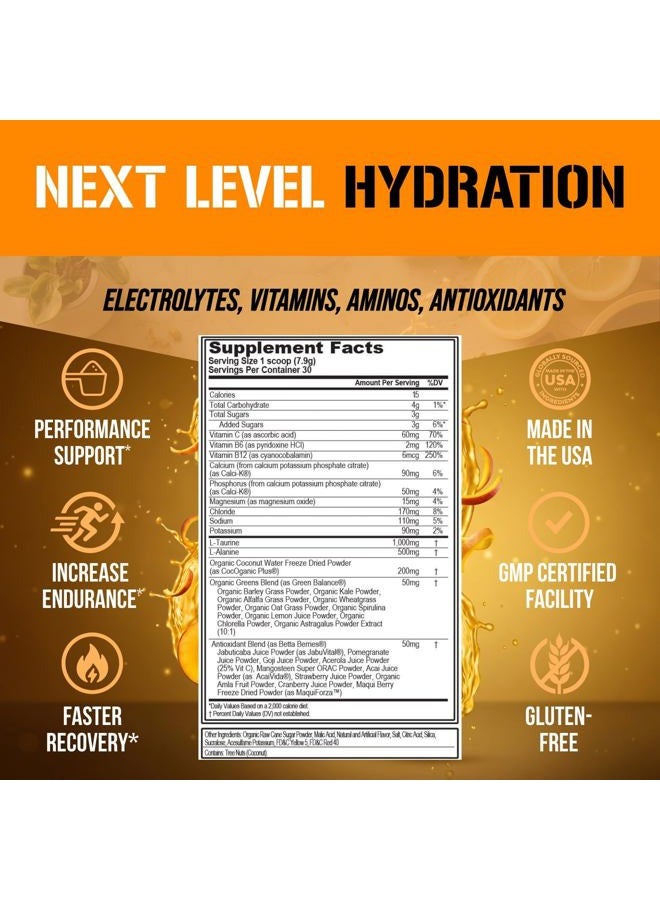 Evlution HYDRAMINO Complete Hydration Multiplier, All 6 Electrolytes, Vitamin C & B, Fluid Boosting Aminos, Coconut Water, Endurance & Recovery, Immunity Support, Antioxidants, 0 Sugar, 30 Serve, Orange Mango - Image 5