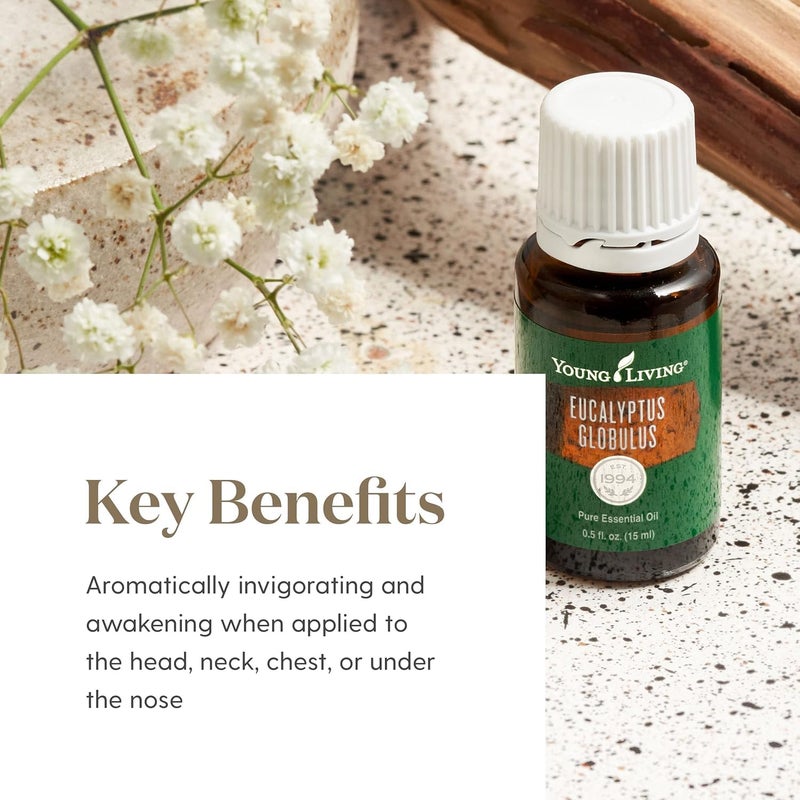 Young Living Eucalyptus Globulus Essential Oil 15ml - Pure & Revitalizing Aromatherapy - Breathe Easy & Refresh Your Senses-Topical & Aromatic-Supports Respiratory Health & Natural Well-Being Journey - Image 3
