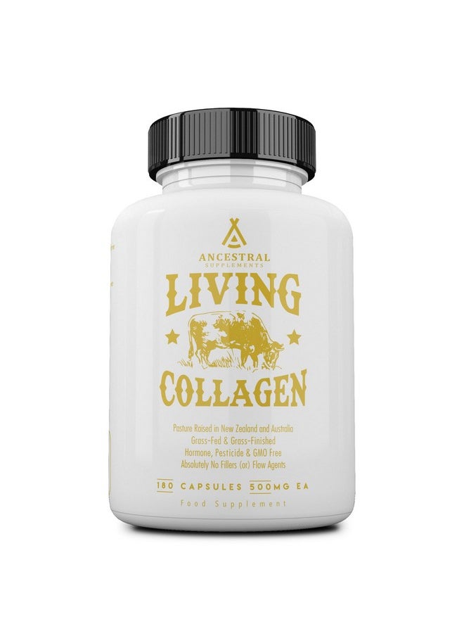 Ancestral Supplements Grass Fed Beef Living Collagen Nutritional Powder Supplement, 3000mg, Promotes Healthier, Younger Looking Skin, Hair, Nails and Joints, Type II, 180 Capsules - pzsku/Z41EA4CDBC2251CFAB8BAZ/45/_/1739864888/caec7d80-9791-4de3-acb4-78fccd7917cd