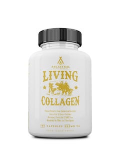 انسيسترال سابليمينتس مسحوق الكولاجين الغذائي من Ancestral Supplements Grass Fed Beef Living، 3000 مجم، يعزز صحة البشرة والشعر والأظافر والمفاصل، النوع الثاني، 180 كبسولة  - Image 1