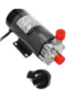 LOULUEN Stainless Steel Magnetic Pump 