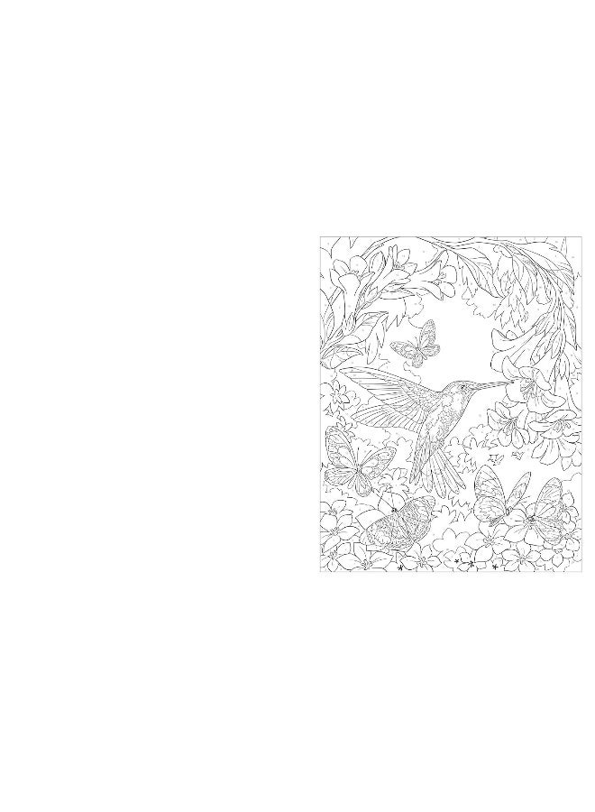 Arcturus Birds & Butterflies Colour by Numbers - Image 5