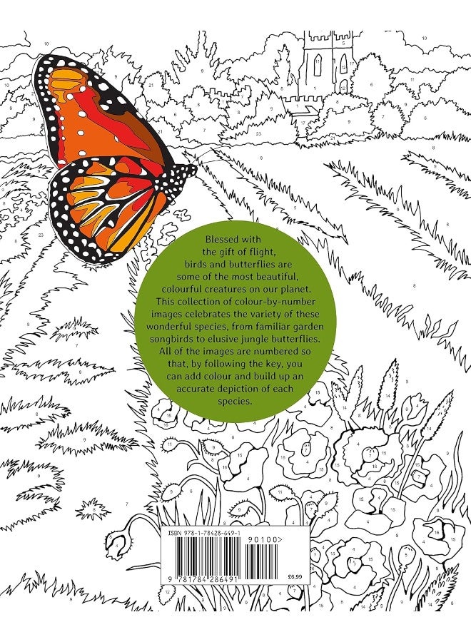 Arcturus Birds & Butterflies Colour by Numbers - Image 2