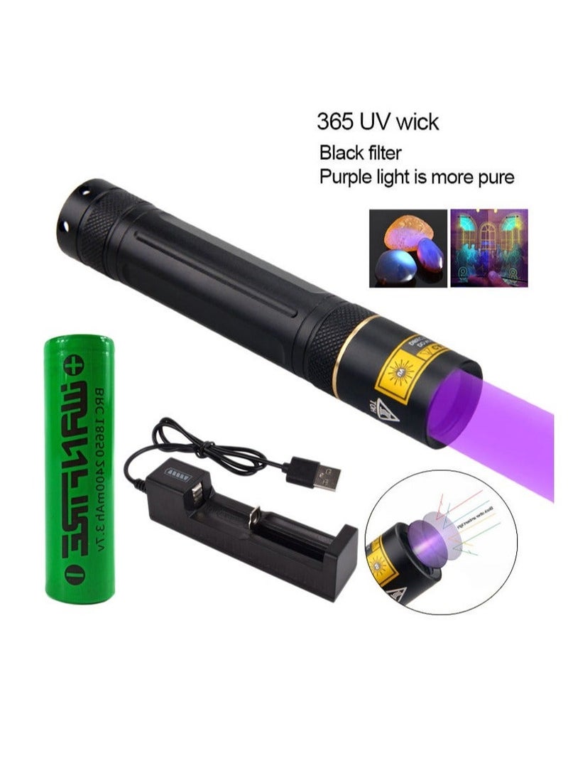 UV Torch, UV 365nm Blacklight Flashlightm, Black Lights for Pet Urine Detector Resin Curing (UV flashlight + charger + 18650 battery) - Image 3