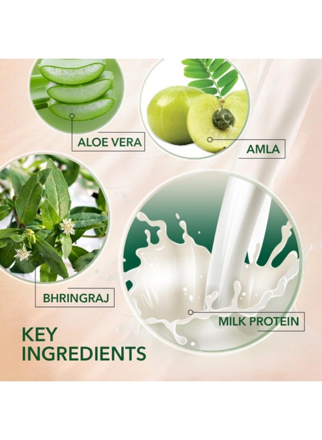 كيش كينج شامبو كيش كينج بروتين الحليب لإصلاح الشعر التالف ومضاد لتساقط الشعر مع 21 نوع من الأعشاب 340 مل - Image 3