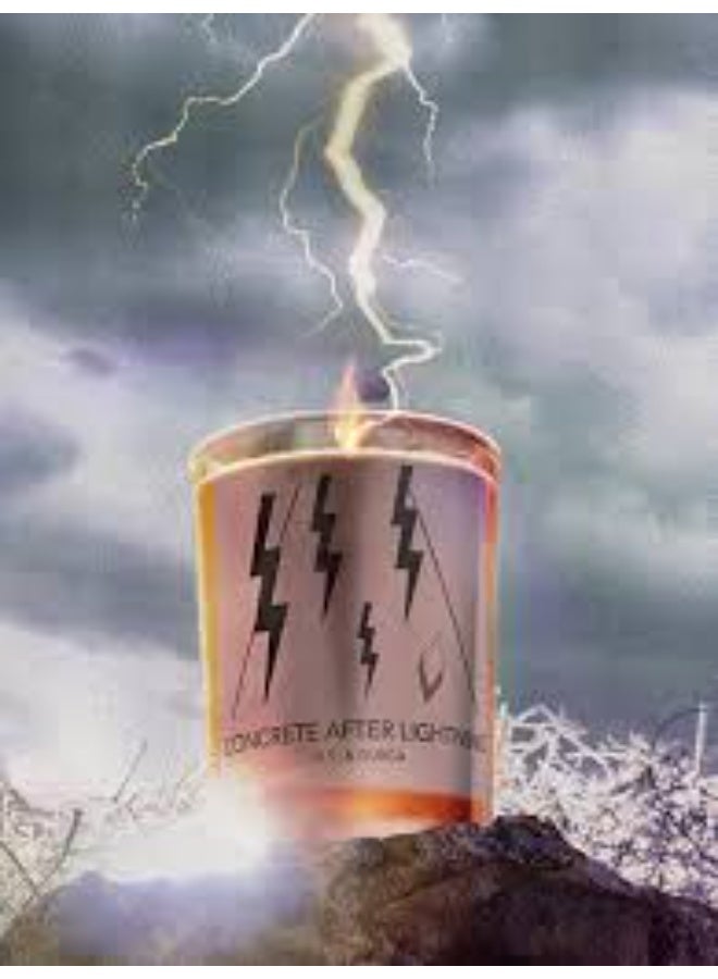 D.S. & DURGA Concrete After Lightning Candle 198g - Image 2
