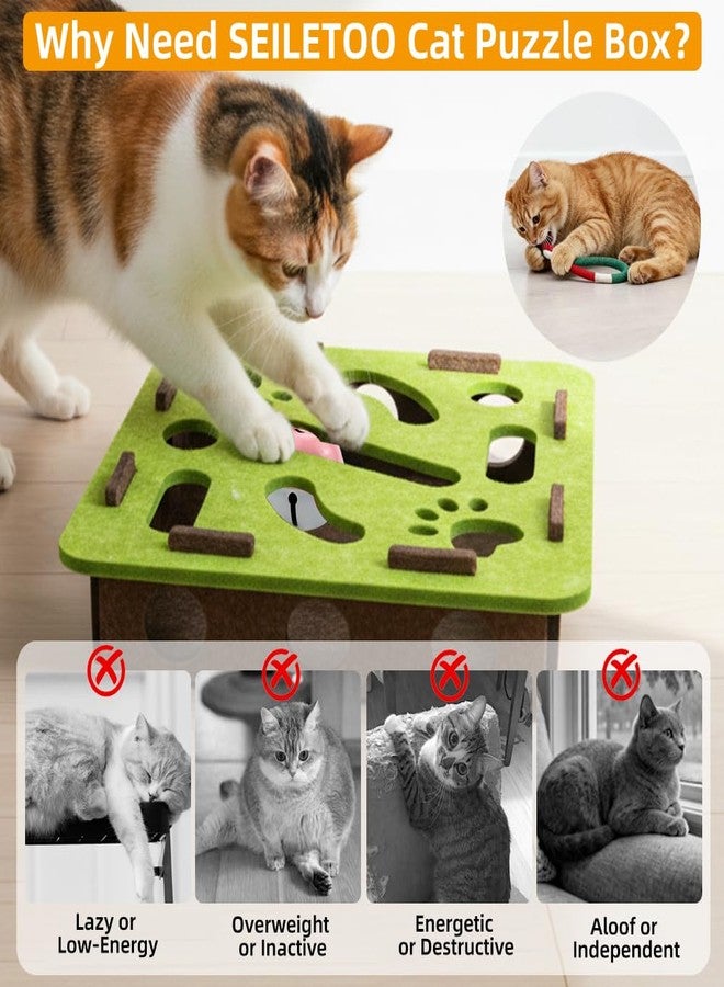 SEILETOO Cat Puzzle Box with A Chew Rope, Puzzle Toy for Kitten, Cat Nail File Scratcher Box, Bite & Scratch Resistant, for Scratching Hunting Mental - Image 2