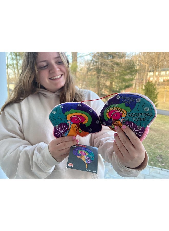 Giant Microbes GIANTmicrobes Brain Model, Human Brain Anatomy Model, Brain Model for Kids, Brain Model for Neuroscience, Brain Model for Teaching, Brain Model for Psychology, 3D Brain Model, Brain Anatomy Toy - Image 4