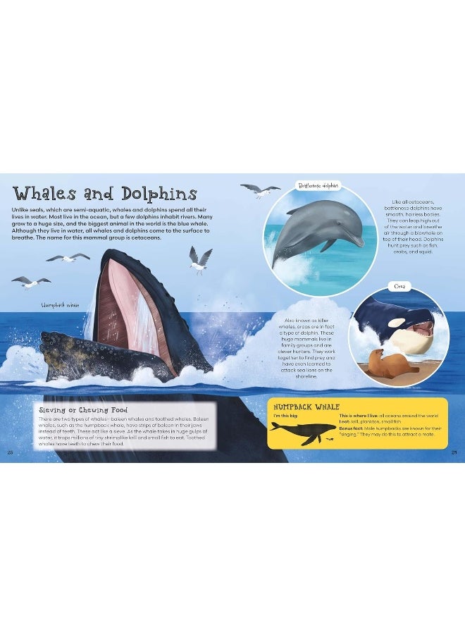 First Picture Encyclopedia of Animals  - Image 4