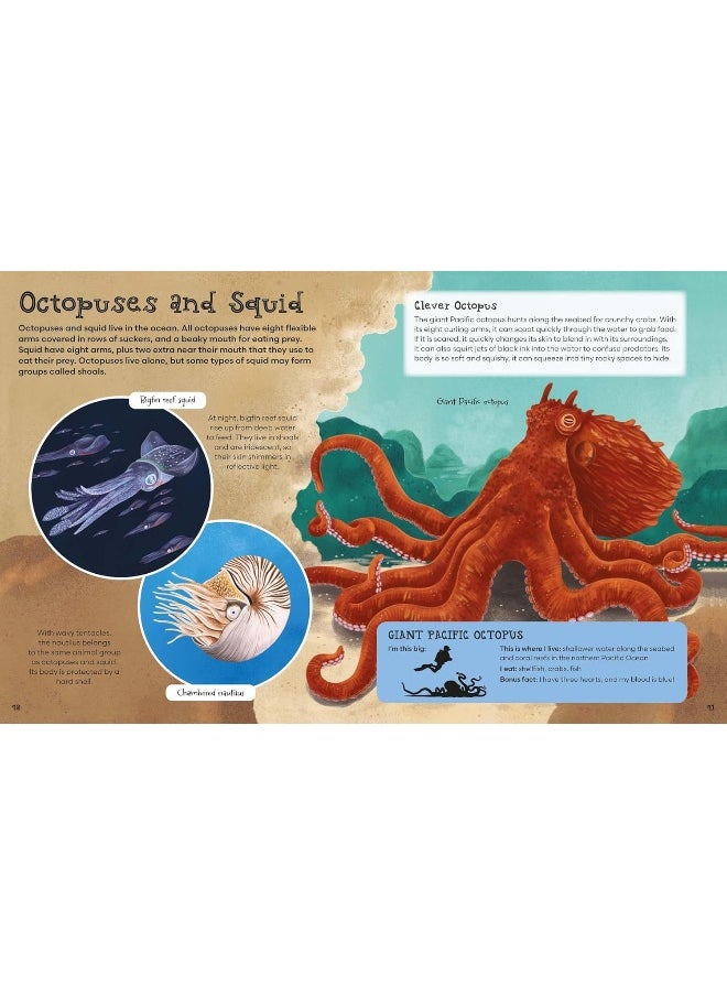 First Picture Encyclopedia of Animals  - Image 3