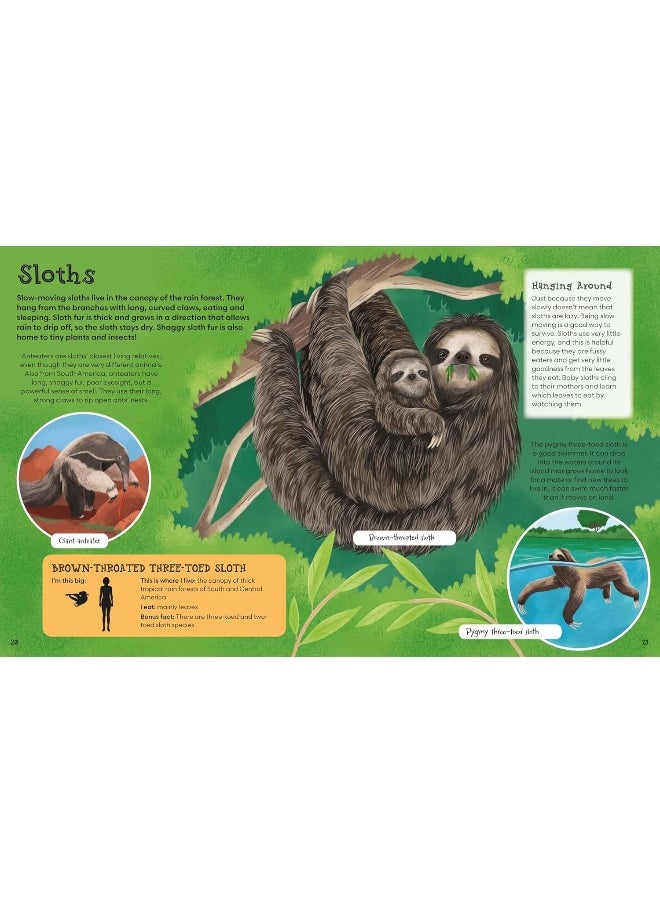 First Picture Encyclopedia of Animals  - Image 2