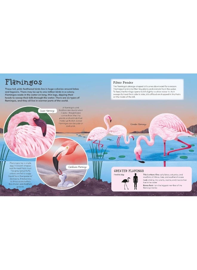 First Picture Encyclopedia of Animals  - Image 5