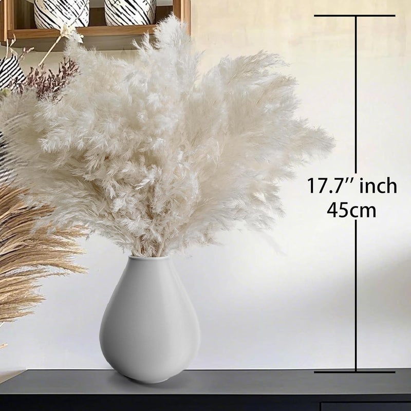 Kocat 30PCS White Pampas Grass for Home Decor - Elegant Boho Decor - Premium Quality Pampas Grass Stems - Perfect for House, Nursery, Western, Wedding, Table, and Bohemian Decor - Image 2
