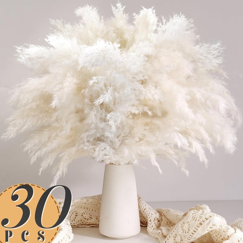 Kocat 30PCS White Pampas Grass for Home Decor - Elegant Boho Decor - Premium Quality Pampas Grass Stems - Perfect for House, Nursery, Western, Wedding, Table, and Bohemian Decor - Image 3
