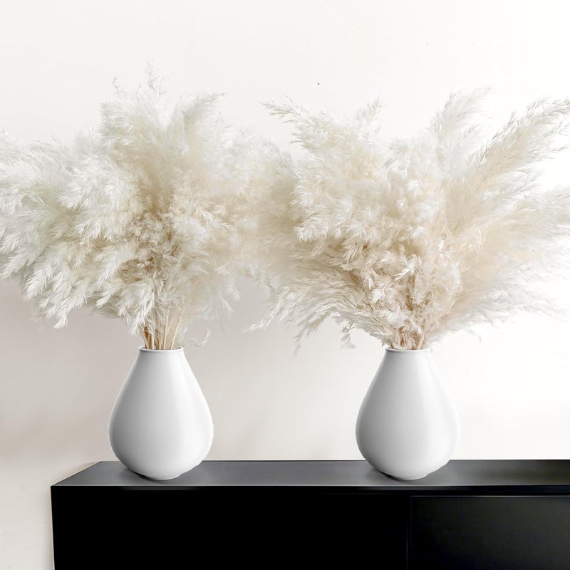Kocat 30PCS White Pampas Grass for Home Decor - Elegant Boho Decor - Premium Quality Pampas Grass Stems - Perfect for House, Nursery, Western, Wedding, Table, and Bohemian Decor - Image 1