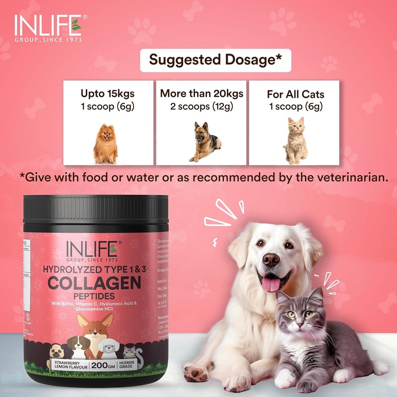 Inlife كولاجين للكلاب والقطط | مسحوق كولاجين مهدرج للبشرة والفراء والمفاصل | مكون مثبت سريرياً مع البيوتين وفيتامين C وحمض الهيالورونيك والجلوكوزامين | مكمل غذائي للحيوانات الأليفة (فراولة) - Image 3