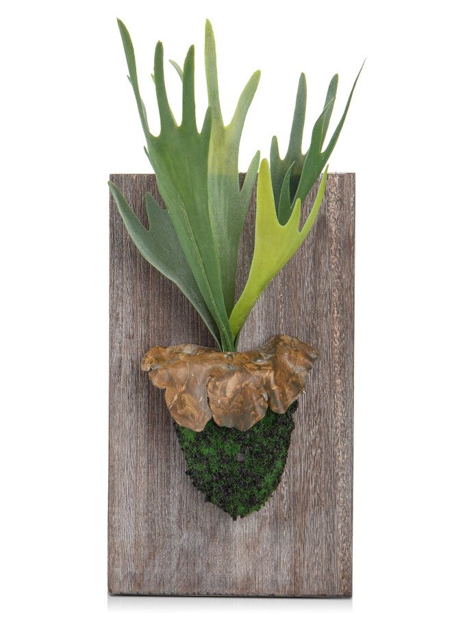 GnFlus نباتات اصطناعية لتزيين الجدران من GnFlus، نباتات معلقة واقعية مع لوح خشبي، طحالب، سرخس قرن الوعل، ديكور اصطناعي للمنزل، غرفة النوم، الحمام، غرفة المعيشة، فن داخلي - Image 1