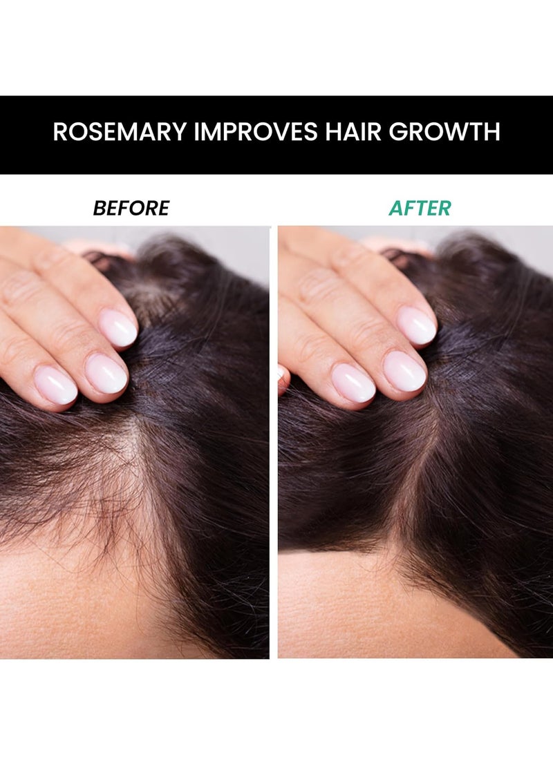 THRIVECO - Rosemary Hair Conditioner For Voluminous Hair | Densifying & Stimulating Hair Growth | Promotes Hair Strength | With Pea Peptide & Caffeine | Paraben & Sulfate Free | For Men & Women | 250ml - Image 1