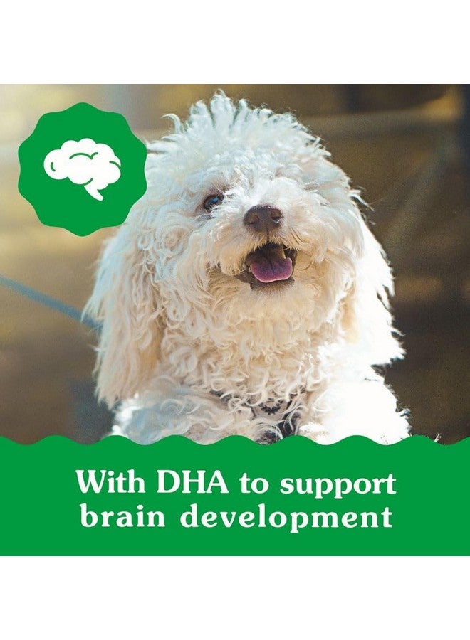 جرينيز مكافآت أسنان طبيعية للكلاب من جرينيز بابي بحجم صغير، عبوة 6 أونصات (10 قطع) - Image 4