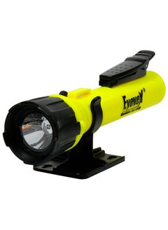 Intrinsically Safe Flashlight