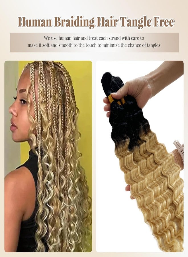 Smartinnov Human Braiding Hair for Boho Braids Ombre Blonde 100g 16 Inch Deep Curly Wave Natural Black Color for Boho Braids Remy Hair No Weft Boho Human Braiding Hair with Dark Roots Curly 2 Bundles/Pack - Image 4