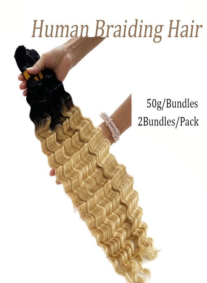 Smartinnov Human Braiding Hair for Boho Braids Ombre Blonde 100g 16 Inch Deep Curly Wave Natural Black Color for Boho Braids Remy Hair No Weft Boho Human Braiding Hair with Dark Roots Curly 2 Bundles/Pack - Image 2