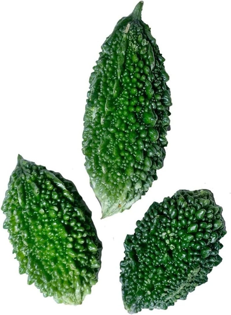 GGOOT 30Stück Bitterkürbissamen Zum Pflanzen im Garten natürliche Weinreben Schattendekoration Einfach zu pflanzen einzigartige Gartenlandschaft frisches Gemüse - Image 2