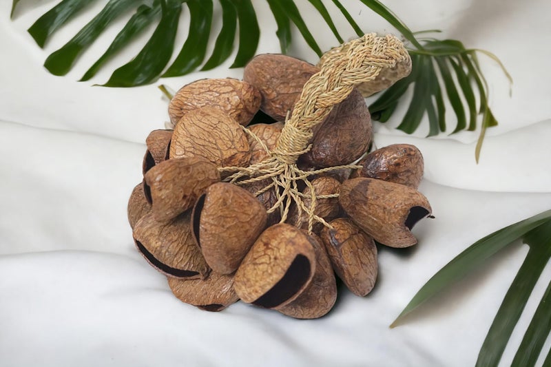 GMP Pangi Seed Shell Shaker/Nutshell Percussion Sound Effect, Comes with Rope Handle/Bamboo Handle, Authentic Traditional Rattle (Natural) - Image 3