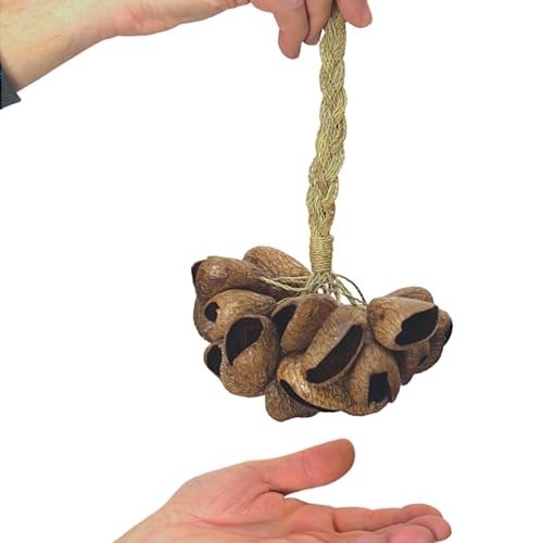 GMP Pangi Seed Shell Shaker/Nutshell Percussion Sound Effect, Comes with Rope Handle/Bamboo Handle, Authentic Traditional Rattle (Natural) - Image 2