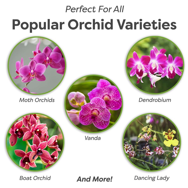 PERFECT PLANTS All Natural Orchid Potting Mix 4Qts. By Perfect Plants | Hand Mixed In Small Batches | Great For Phalaenopsis Of All Kinds - Image 2
