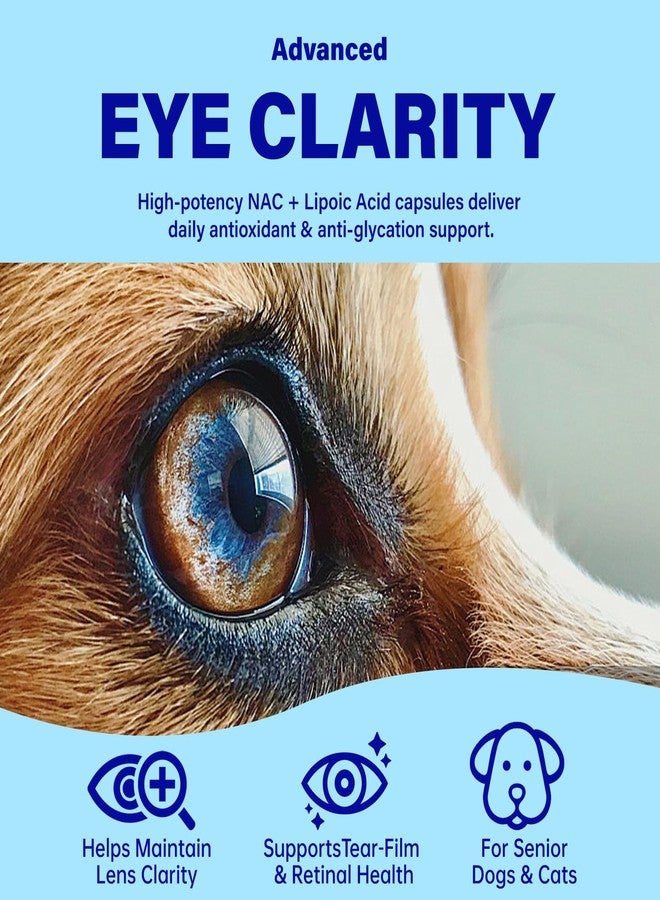 VivaElixir Eye Supplements for Dogs - Vision Support Soft Chews with Lutein, DHA & Vitamin C | 120ct Salmon Flavor Tear Stain Chews | Cataract & Dry Eye Relief Supplement (90 Ct) - Image 3