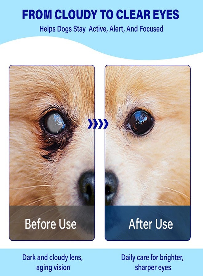 VivaElixir Eye Supplements for Dogs - Vision Support Soft Chews with Lutein, DHA & Vitamin C | 120ct Salmon Flavor Tear Stain Chews | Cataract & Dry Eye Relief Supplement (90 Ct) - Image 5