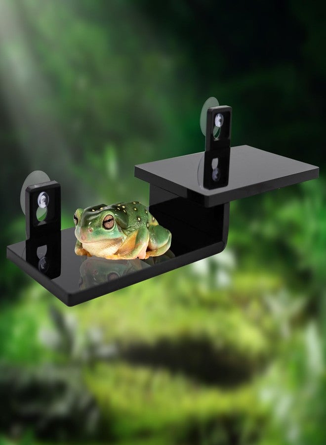 Neeenn Frog Basking Platform with Suction Cup, Black Acrylic Double Ledge Platform for Reptile, Tank and Aquarium Accessories for Small Animals Tree Frogs Crested Gecko Lizards Axolotl - 7.3 x 2.4 x 1 Inch - Image 3