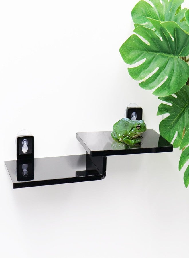 Neeenn Frog Basking Platform with Suction Cup, Black Acrylic Double Ledge Platform for Reptile, Tank and Aquarium Accessories for Small Animals Tree Frogs Crested Gecko Lizards Axolotl - 7.3 x 2.4 x 1 Inch - Image 4