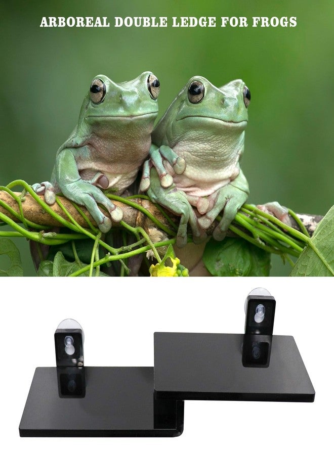 Neeenn Frog Basking Platform with Suction Cup, Black Acrylic Double Ledge Platform for Reptile, Tank and Aquarium Accessories for Small Animals Tree Frogs Crested Gecko Lizards Axolotl - 7.3 x 2.4 x 1 Inch - Image 2