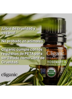 Cliganic Organic Moringa Oil, 100% Pure - For Face & Hair | Natural Cold Pressed  - Image 2