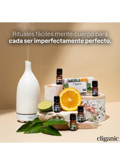 Cliganic Organic Moringa Oil, 100% Pure - For Face & Hair | Natural Cold Pressed  - Image 3