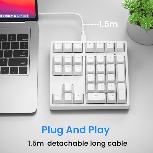 Gurjot Number Pad，Mechanical USB Wired Numeric Keypad with RGB LED Backlit,34 Keys Numpad Keyboard with PBT Keycaps Blue Switches for Windows/Mac Laptop,Computer,Desktop,PC,Notebook (White) - Image 5